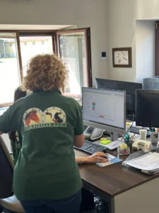 DTM-feeding-management-software-for-dairy-and-beef-farm-1