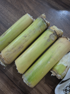 NIR Analysis Sugar Cane (1)